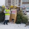 Ёлочная утилизация: жители Демского района Уфы приняли участие в экологической акции