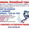 Спешите на хоккей!