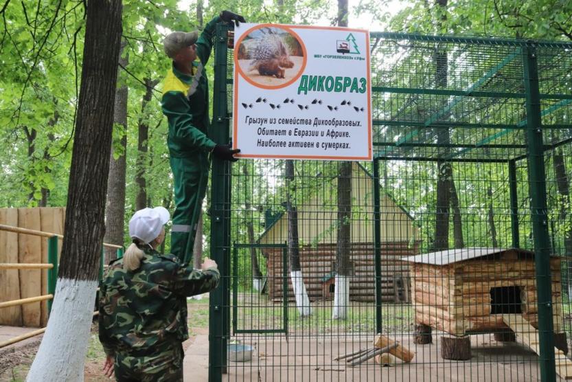 Ул лесоводов. Парк лесоводов Уфа. Парк лесоводов Уфа спортплощадка. Детская площадка в парке лесоводов Уфа. Парк лесоводов парковка.