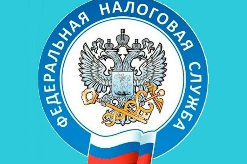 Налог нижегородская. Налоговая служба. Эмблема налоговой службы России. МРИ ФНС 6 по Нижегородской области. Аббревиатура налоговой службы РФ.