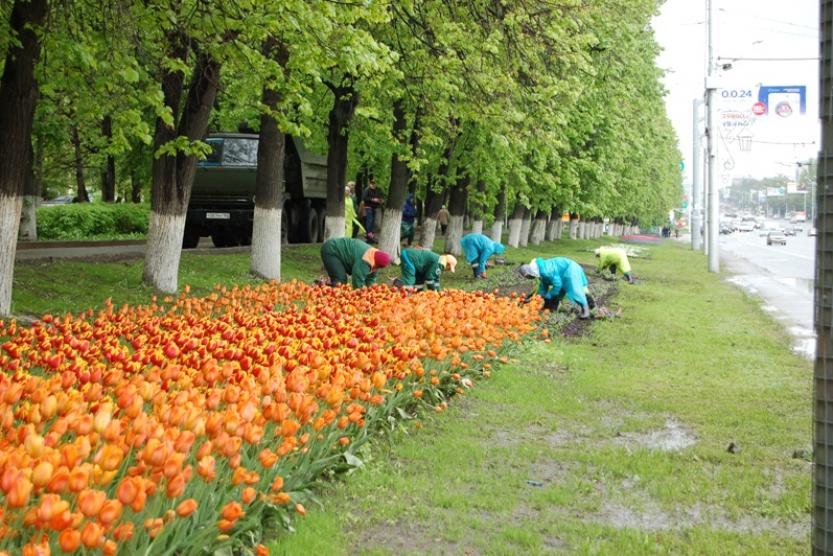 МУП Горзеленхоз Иркутск. Горзеленхоз Нальчик. Горзеленхоз Набережные. МУП Горзеленхоз Симферополя.