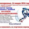Добро пожаловать на турнир по хоккею с шайбой!