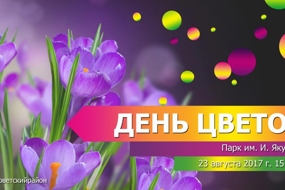 Цвет дня. Международный день цвета. Цветок 23 августа. Каких цветов сегодня день?. Цветы с днем Республики.