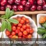 Приглашаем на ярмарку!