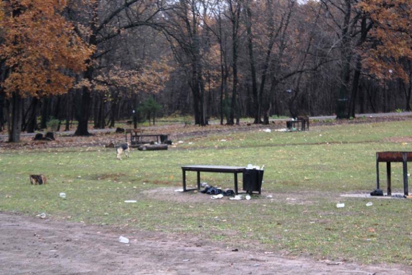 Парк лесоводов. Парк имени лесоводов Башкирии. Лесопарк лесоводов Уфа. Парк лесоводов Уфа мангальная зона. Пару Лесаводов Уфа зона барбекю.