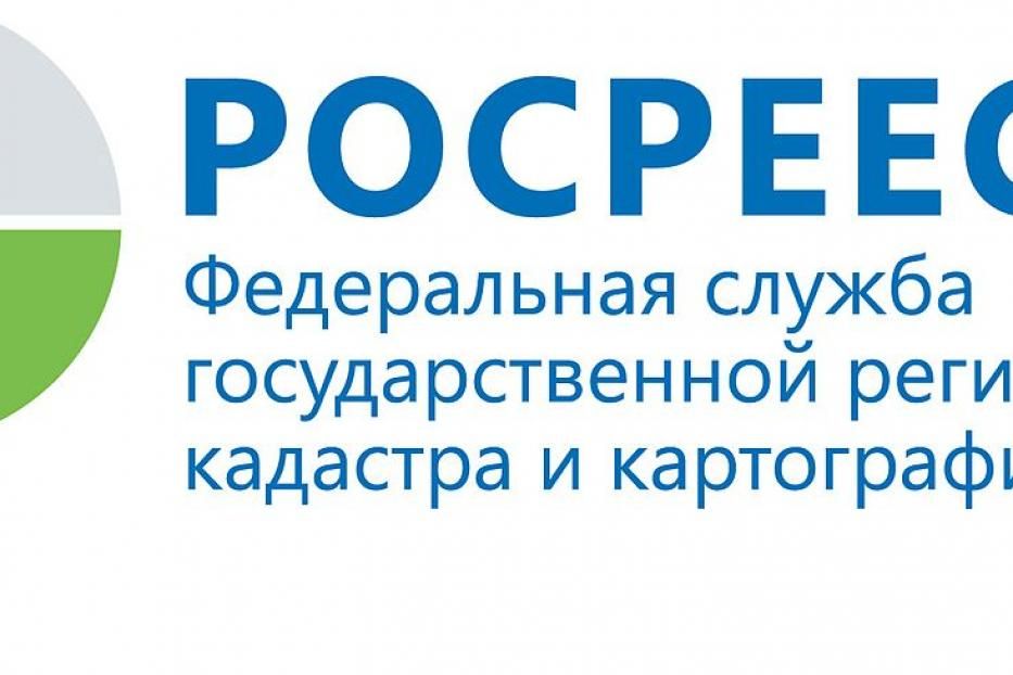 Кадастровая палата регистрации и картографии. Росреестр Марий Эл Галеева. Росреестр Марий Эл. Галеева Елена Александровна Росреестр Марий Эл. Волков Вячеслав Валерьевич Росреестр Марий Эл.