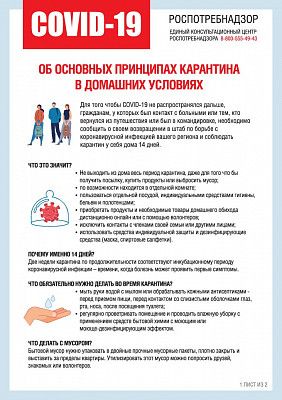 О принципах самоизоляции дома (2)