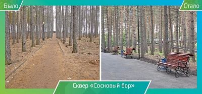 5 сквер сосновый бор